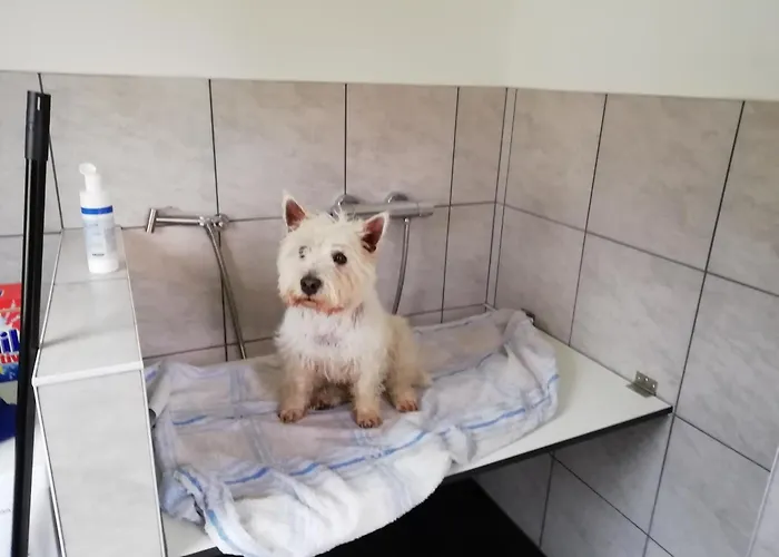 Ferienwohnung Marie